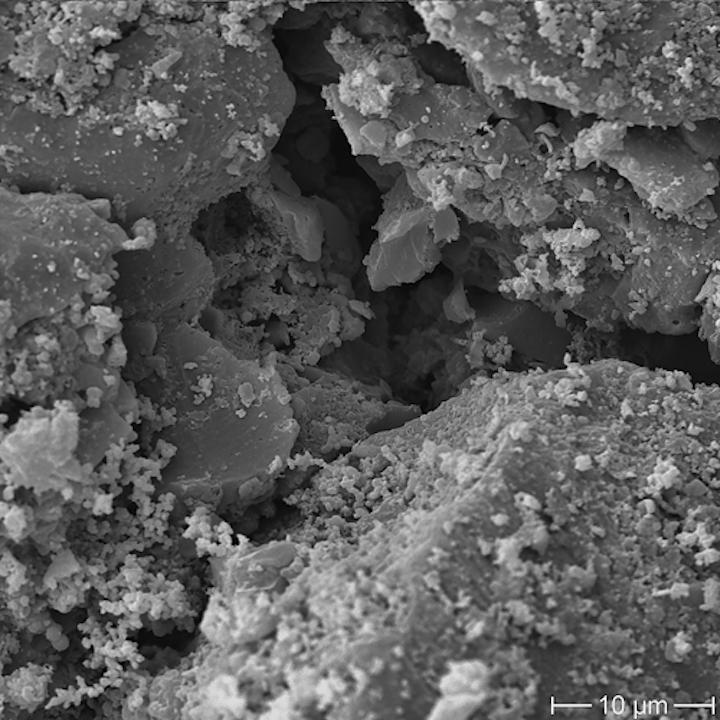 Content Dam Ww Online Articles 2017 08 Activated Charcoal