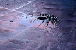 Content Dam Ww Online Articles 2017 08 Control Plagas Content Dam Ww Online Articles 2017 08 Control Plagas