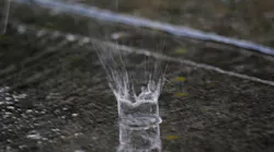 Content Dam Ww Online Articles 2017 08 Have You Ever Seen The Rain 2570902525