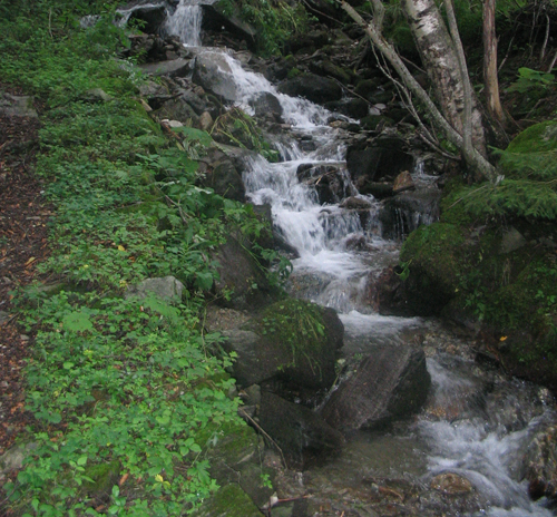 Content Dam Ww Online Articles 2017 08 Teuchl Stream