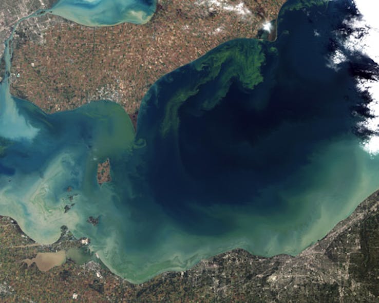 Toxic algal bloom in Lak Erie. Photo: Wikimedia Commons.