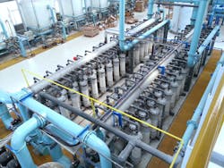 3m Membranes Plant Shot 3m Membranes Plant Shot
