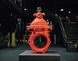 Mueller Co Fmt 300x235 Mueller Co Fmt 300x235