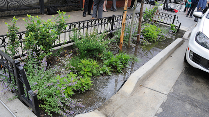 Bioswale in Bushwick, Brooklyn. Photo NYC Water.