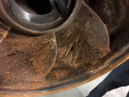 Content Dam Ww Print Articles 2017 09 1709wwpmp P01