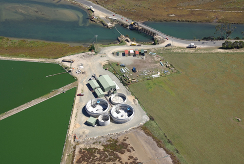 Content Dam Ww Online Articles 2017 10 Mb Process