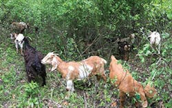 Sw1710 34 300x189 Sw1710 34 300x189