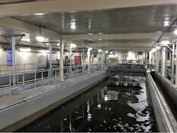 1711wwcas P02 1711wwcas P02