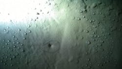 1711wwft2 P02 1711wwft2 P02