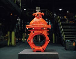 Mueller Co Fmt 1 300x235 Mueller Co Fmt 1 300x235