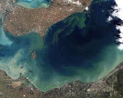 Algal bloom in Lake Erie. Courtesy Wikimedia Commons.
