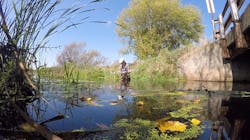 Content Dam Ww Online Articles 2017 12 Kacibaillies Waunakeewatersample Preview Content Dam Ww Online Articles 2017 12 Kacibaillies Waunakeewatersample Preview