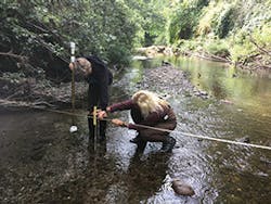 Sw1801 12 300x225 Sw1801 12 300x225