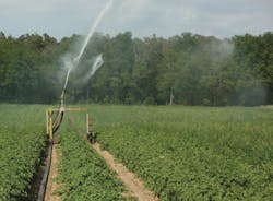 1801wwft1 P01 1801wwft1 P01