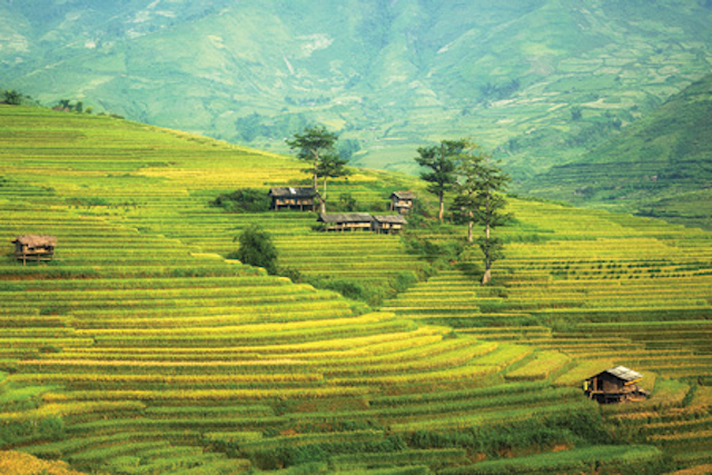 China Agriculture