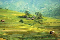 China Agriculture China Agriculture