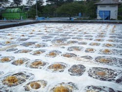 Content Dam Ww Online Articles 2018 01 Aerated Pool For Waste Water Treatment