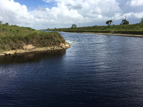 Content Dam Ww Online Articles 2018 01 C 23 Canal 3 Crop