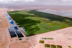 Oman Constructed Wetland