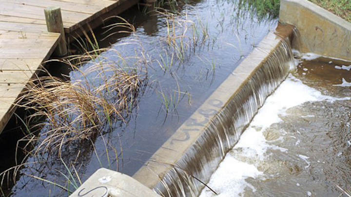 Content Dam Ww Online Articles 2018 02 Csiro Scienceimage 4479 Stormwater Runoff At The Paddocks Wetland In The Northern Adelaide Suburb Of Salisbury Sa 1995