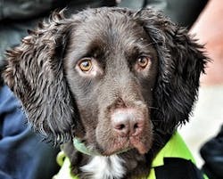 Content Dam Ww Online Articles 2018 02 Snipe Thumb Content Dam Ww Online Articles 2018 02 Snipe Thumb