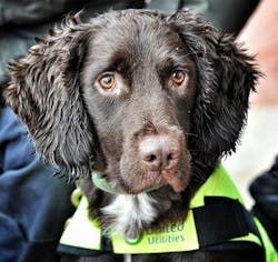 Snipe Works In Snow 40 Snipe Works In Snow 40