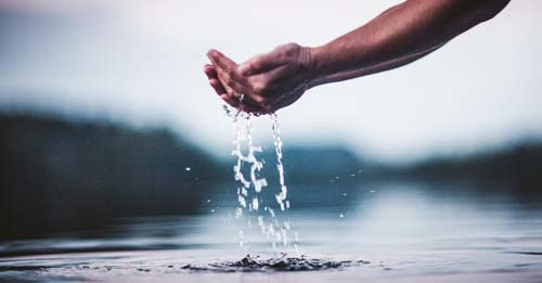 Content Dam Ww Online Articles 2018 03 Dy5rh44wsaarpk5