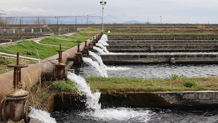 Content Dam Ww Online Articles 2018 03 Masis Dzuk Fish Farm In Armenia