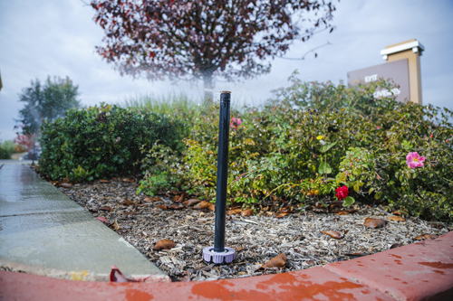 Content Dam Ww Online Articles 2018 03 Recycledwaterimages 201711 0013a