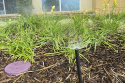 Recycledwaterimages 201711 0110a Recycledwaterimages 201711 0110a