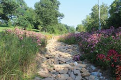 1804wwft1 P02 Rapid Run Bioswale July 2017 1804wwft1 P02 Rapid Run Bioswale July 2017