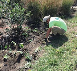 1804wwft1 P04 Picture1 1804wwft1 P04 Picture1