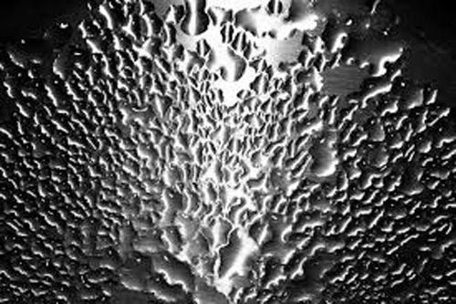 Content Dam Ww Online Articles 2018 04 Images