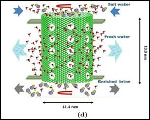 Content Dam Ww Online Articles 2018 04 Membrane Development