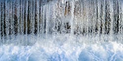 Content Dam Ww Online Articles 2018 04 Nature 2651440 640 Content Dam Ww Online Articles 2018 04 Nature 2651440 640