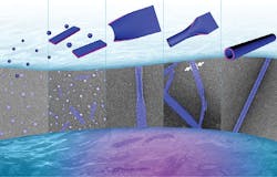 1805wwft1 P01 1805wwft1 P01