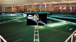 1805wwft3 P01 1805wwft3 P01