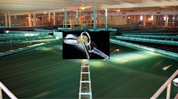 1805wwft3 P01 1805wwft3 P01