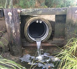 1805wwsp2 P25 1805wwsp2 P25