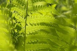 Content Dam Ww Online Articles 2018 05 Aquaporin Content Dam Ww Online Articles 2018 05 Aquaporin