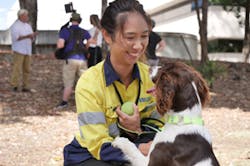 1805wwikepdog1 1805wwikepdog1