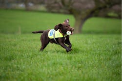 1805wwionesnipe6873 1805wwionesnipe6873