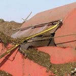 Goc 150x150 Goc 150x150