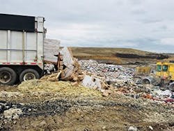 Hallo Ne Wshowcaseimage 300x225 Hallo Ne Wshowcaseimage 300x225