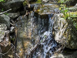 Content Dam Ww Online Articles 2018 06 Natural 2311375 640 Content Dam Ww Online Articles 2018 06 Natural 2311375 640