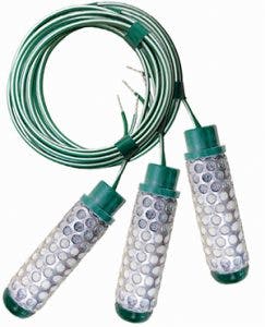 We1806 12 1 1 243x300 We1806 12 1 1 243x300