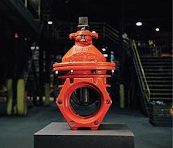 Mueller Co Fmt 300x256 Mueller Co Fmt 300x256