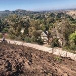 Sox 150x150 Sox 150x150