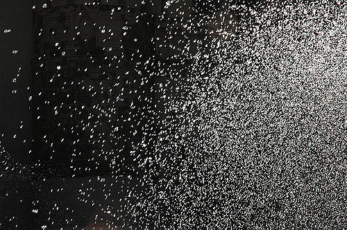 Content Dam Ww Online Articles 2018 07 293249536 1db87a73c9 Z