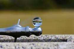 Content Dam Ww Online Articles 2018 07 Natural 2437651 640 Content Dam Ww Online Articles 2018 07 Natural 2437651 640